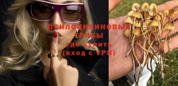 ПСИЛОЦИБИНОВЫЕ ГРИБЫ Алзамай