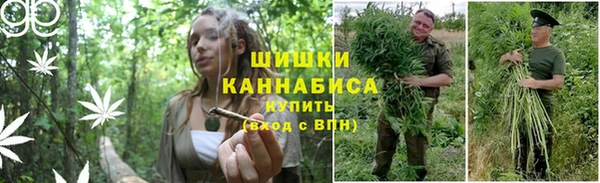 ПСИЛОЦИБИНОВЫЕ ГРИБЫ Алзамай