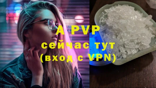 прущие грибы Абаза