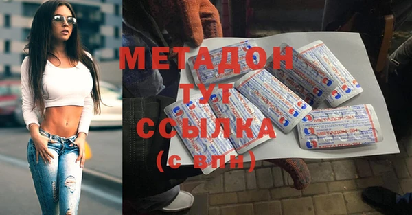 прущие грибы Абаза