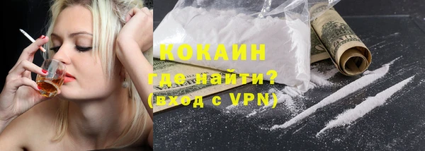 прущие грибы Абаза