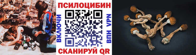 Псилоцибиновые грибы Psilocybine cubensis  магазин продажи   Лангепас 